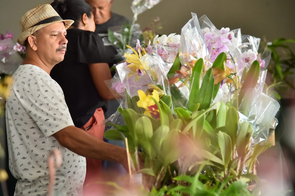 Aparecida de Goiânia realiza neste fim de semana a 18ª Exposição de Orquídeas e Rosas do Deserto. Foto: Rodrigo Estrela